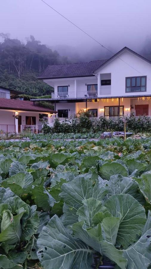 Ng Family'S Farm Stay Cameron Highlands Buitenkant foto